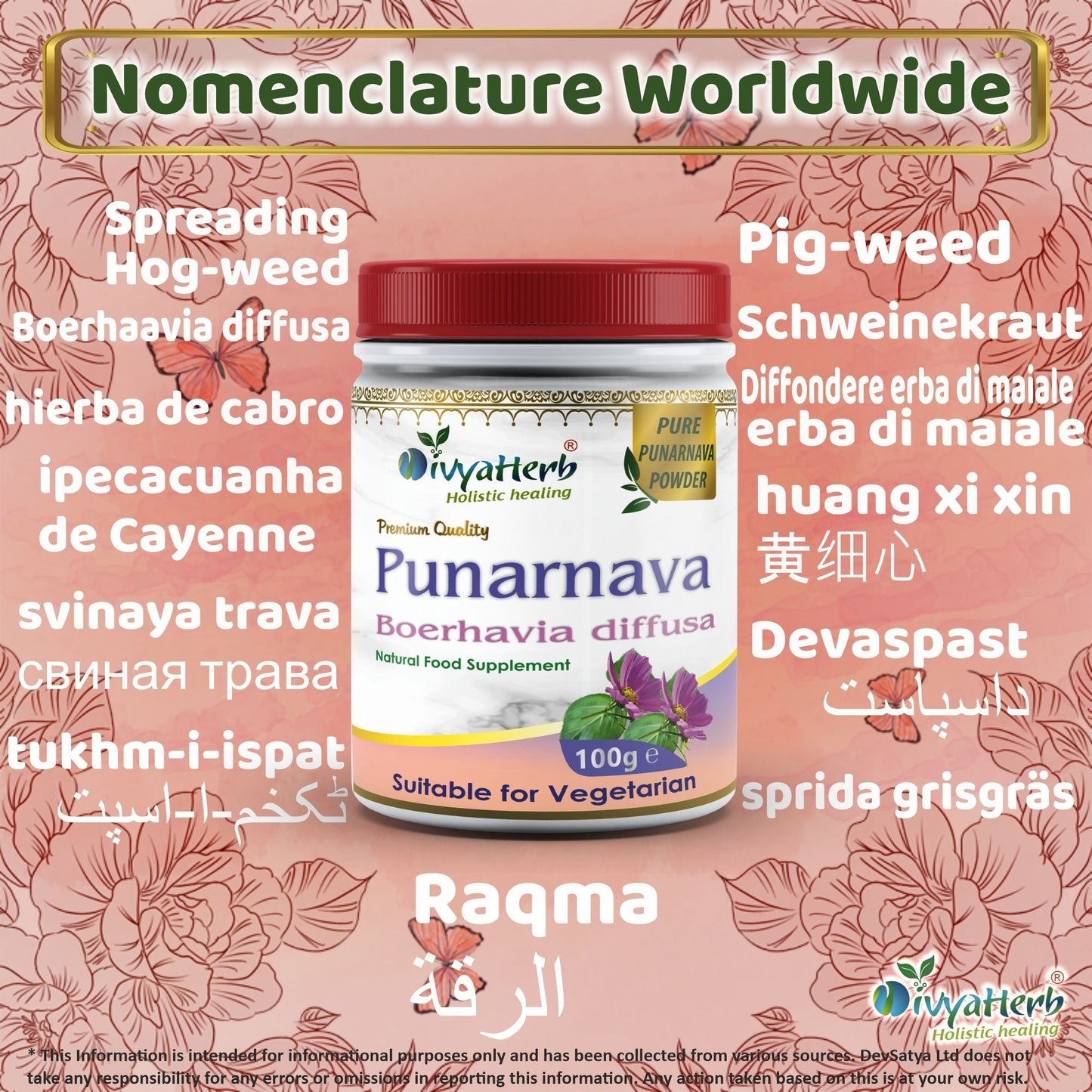 DivyaHerb Punarnava Powder 100 gram - Daily Wellness Support