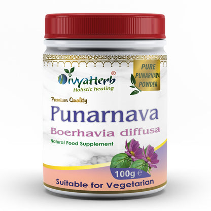 DivyaHerb Punarnava Powder 100 gram - Daily Wellness Support
