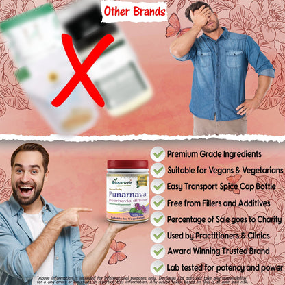 DivyaHerb Punarnava Powder 100 gram - Daily Wellness Support