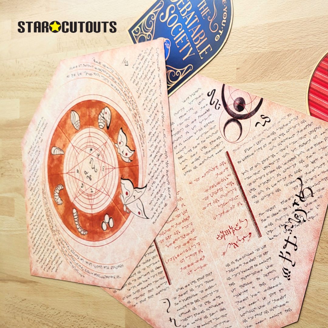 RD007 Wicked Witches Movie Room & Party  Decoration Pack Cardboard Cut Out Height 45cm