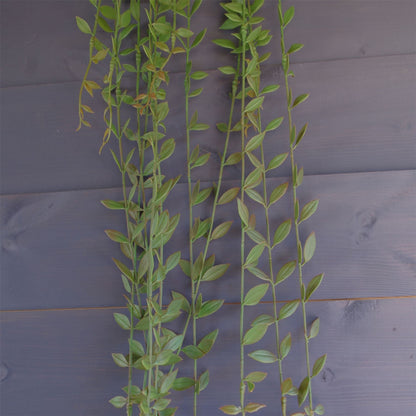 120cm Artificial Hanging Extra Long String of Pearls