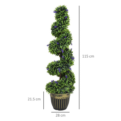 Elegant Spiral Boxwood & Lavender Plant Set – Low Maintenance Decor