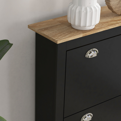 HOMCOM 2 Drawer Shoe Cabinet Narrow Shoe Cupboard with Flip Doors, Black