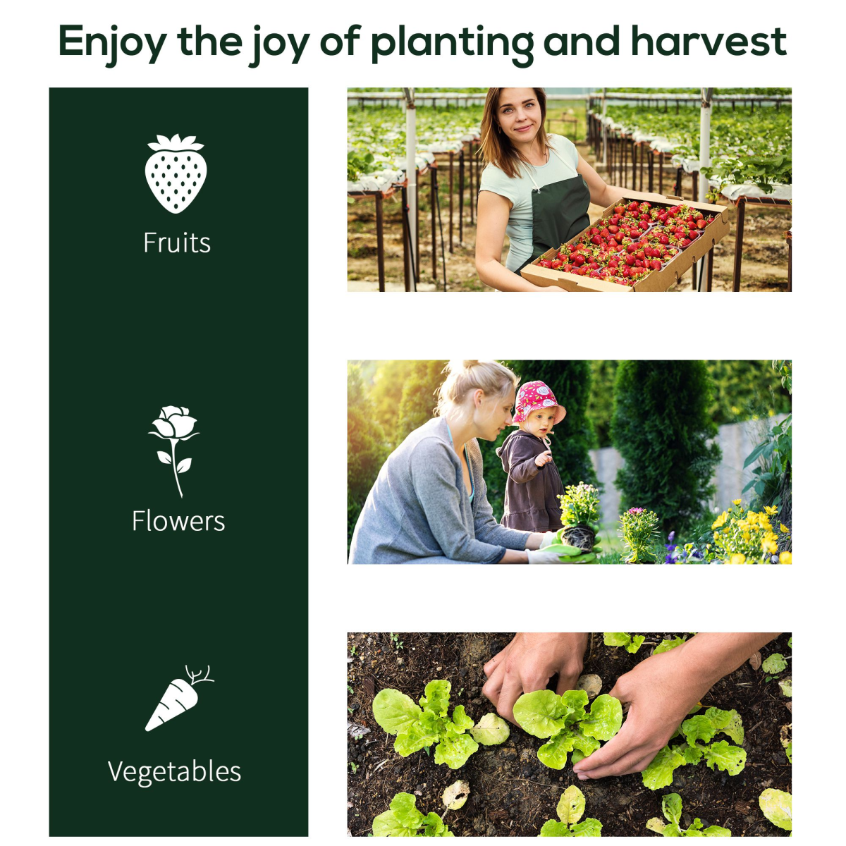 Mini Portable Gardening Flower Plants Greenhouse Warm House