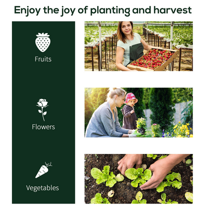 Mini Portable Gardening Flower Plants Greenhouse Warm House