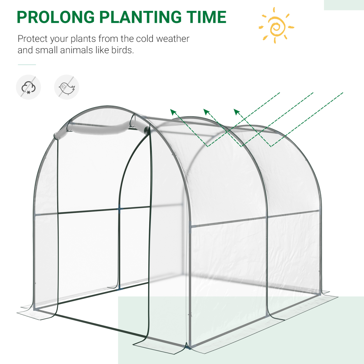 Walk in Transparent Greenhouse, Steel Frame