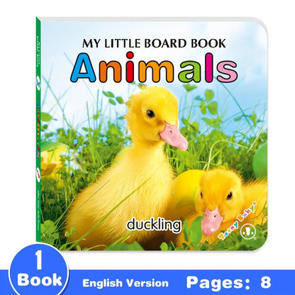 Colorful patterned card book, interactive sensory development gift, bright colors enhance early reading education