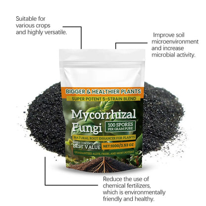 100g Plant Fertilizer Powder Plant Growth Nutrient Fertilizer Safe and Effective Rooting Supplement for Soil Culture Hydroponics
