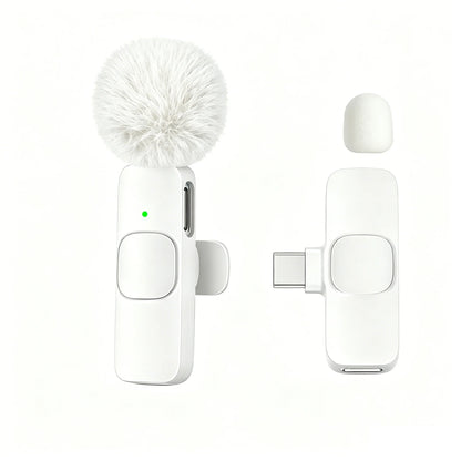 Type-C Port Professional Wireless Lavalier Microphone for Smartphones, Computers and Cameras, Plug and Play