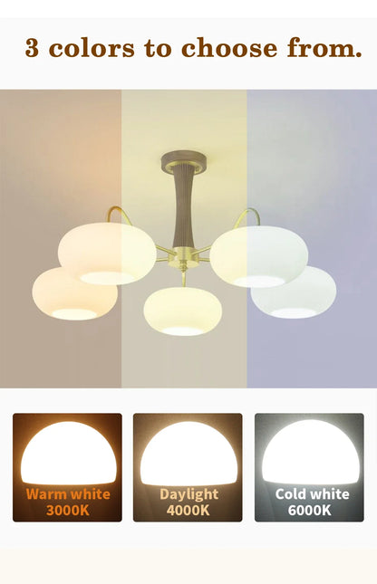 10Pack B22 LED bulb Lamp 220V 110V No flicker 8W 9W 12W 18W 24W Hight birght Warm lighting for home derection