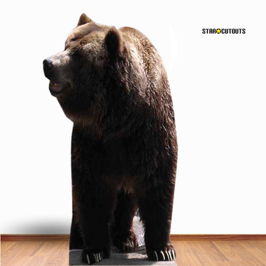 SC072 Bear Cardboard Cut Out Height 165cm