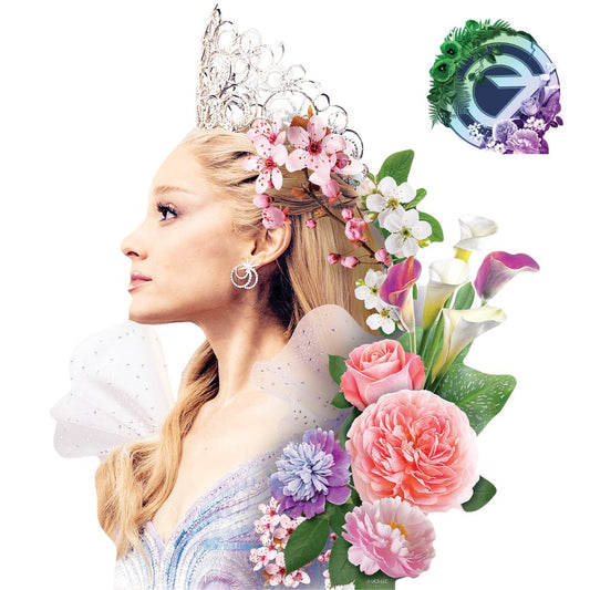 SC4845	Wicked For Good Glinda Star Mini Multipack Bundle (Multi-Function) - Height 55cm