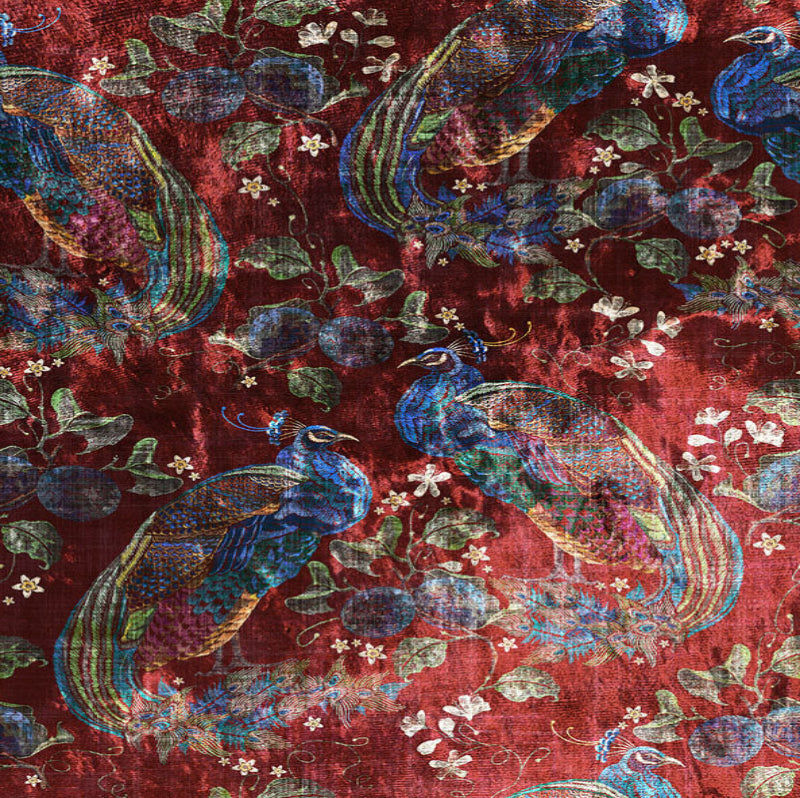 Peacock Opulence