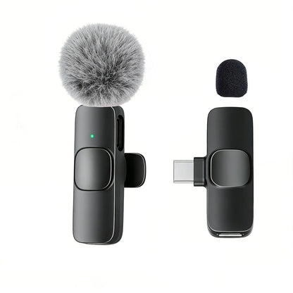 Type-C Port Professional Wireless Lavalier Microphone for Smartphones, Computers and Cameras, Plug and Play