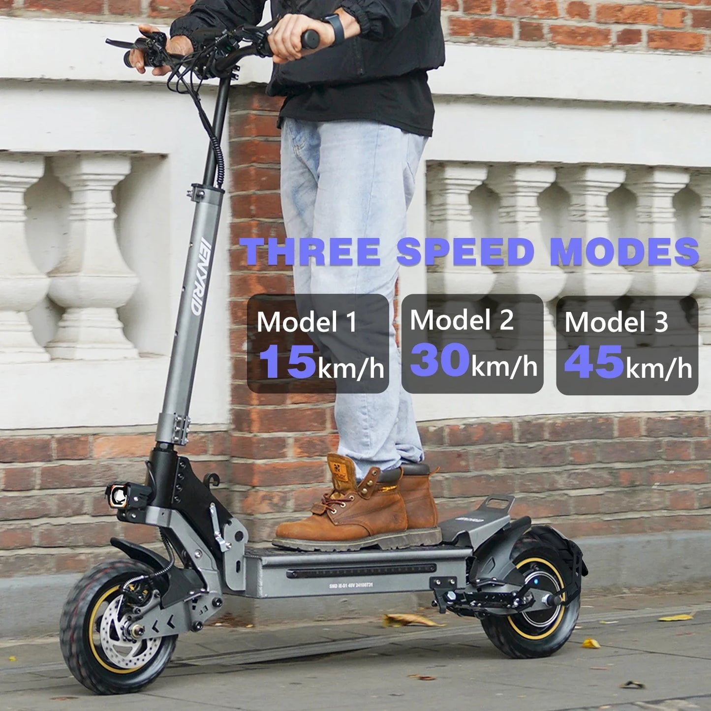 iENYRID iE-S1 Adult Electric Scooter Foldable 48V 15Ah 250W Off-Road Tire E-Mountain Scooter for Sports Entertainment Cycling