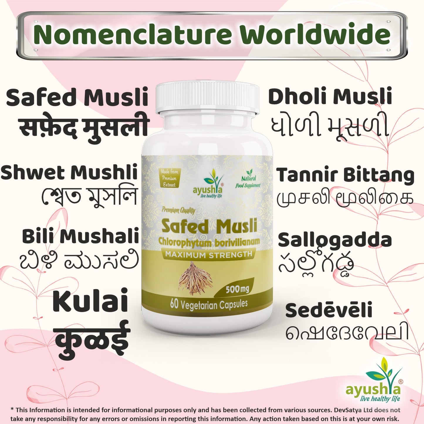 Ayushya Safed Musli Capsules (Chlorophytum Borivilianum) Strength & Stamina Support - Vegan, Gluten Free, Non-GMO, 60 Capsules