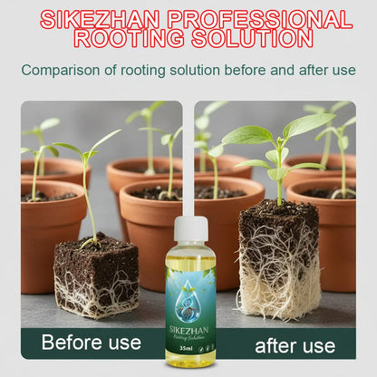 35ml Rooting Solution - A Rapid Rooting Hormone Solution for Plant Propagation, Hydroponics, Home Gardens, Herbs, Vegetables