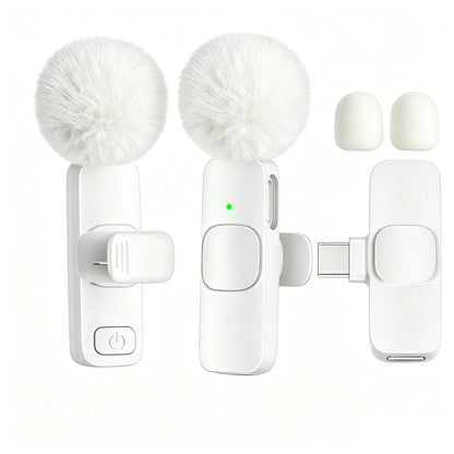 Type-C Port Professional Wireless Lavalier Microphone for Smartphones, Computers and Cameras, Plug and Play