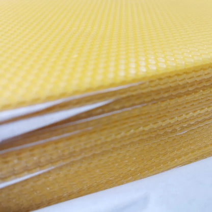 Beeswax For Hive Building Beeswax Wax Foundation Promotes Colony Growth Boosts Hive Productivity Easy Installation