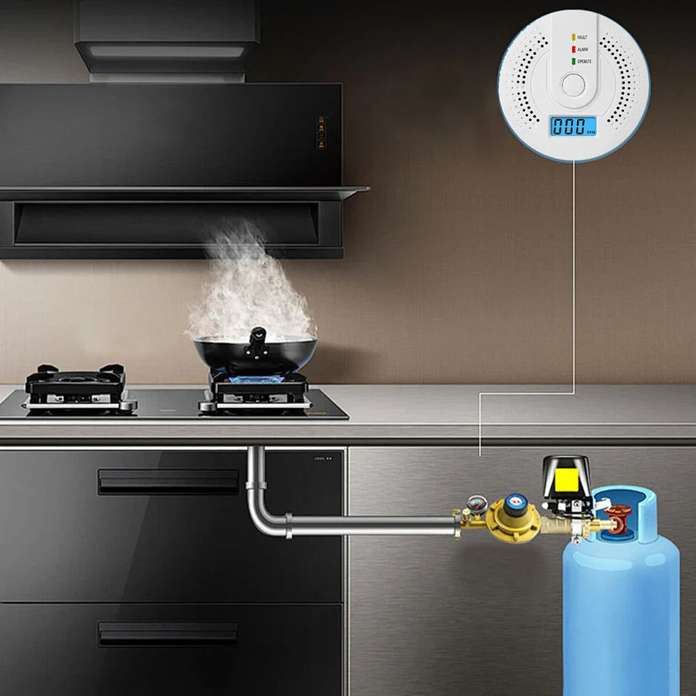 Independent CO Alarm Sensor Carbon Monoxide Alarm Detector High Sensitive Warning LED Display CO Alarm Battery Powered