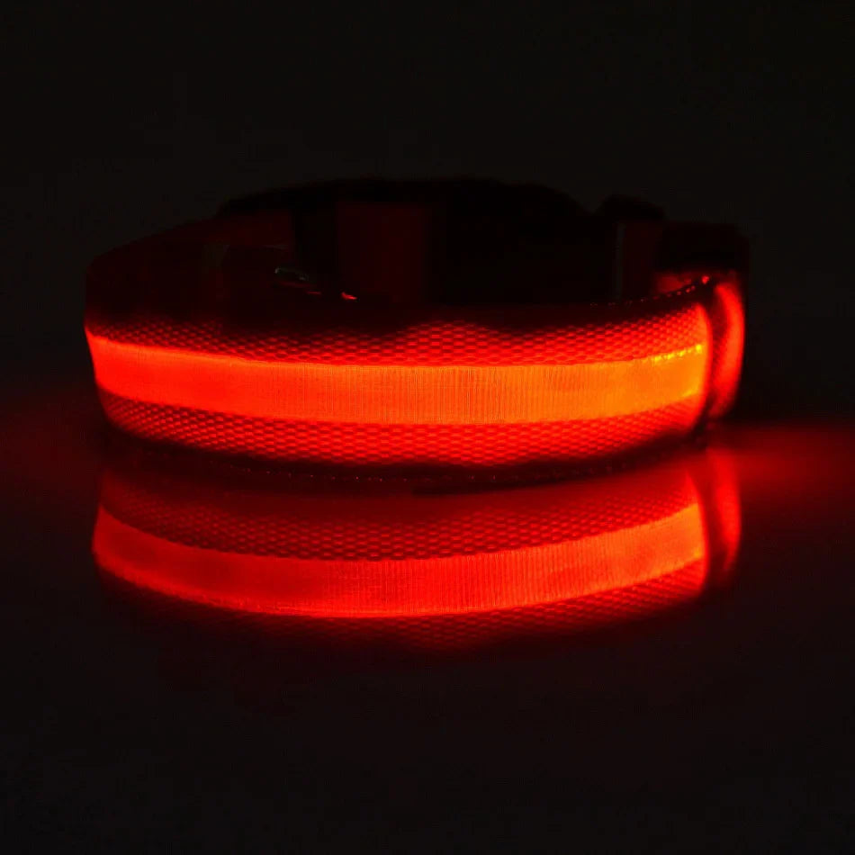 Nylon LED Night Safety Flashing Glow In The Dark Dog Leash Dogs Luminous Fluorescent Pet Dog Collar