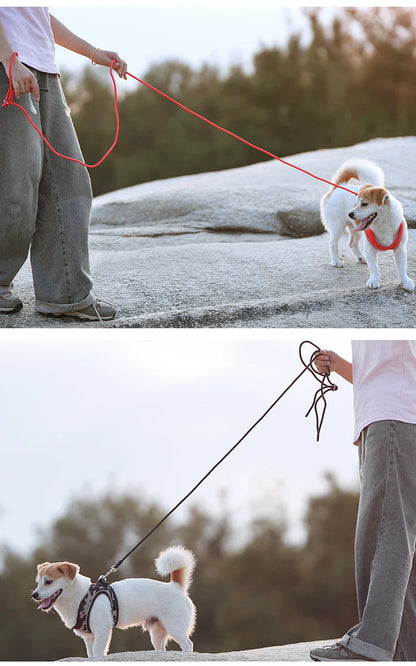 Dog Harness Leash Set for Small Medium Dog Adjustable Reflective Puppy Cat Harness pet Vest Chihuahua Dachshund Outdoor Walking
