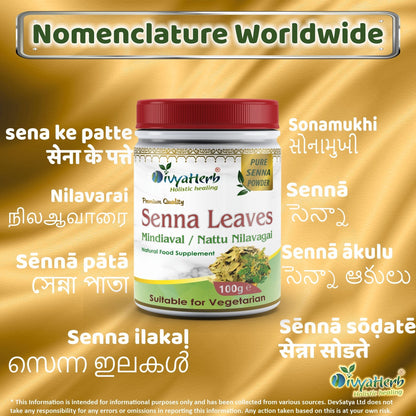DivyaHerb Senna Leaves Powder 100 gram - Bowel Regularity Support