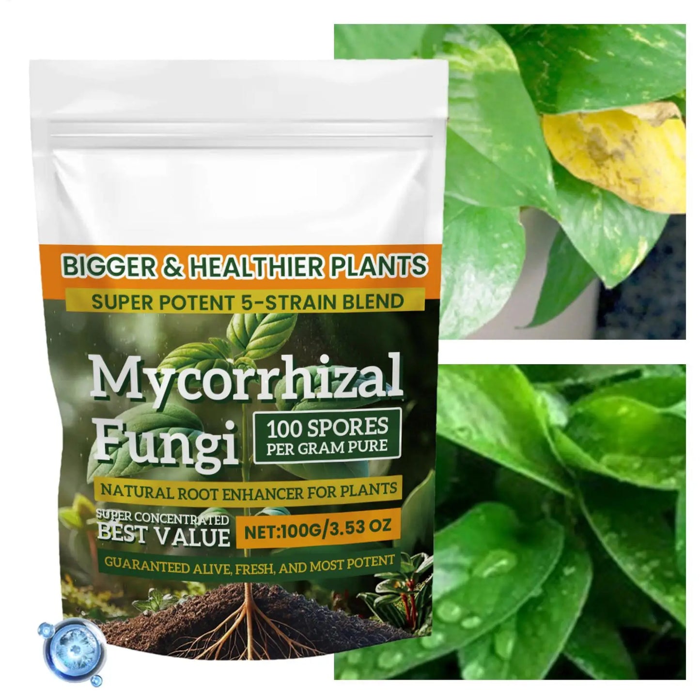 100g Plant Fertilizer Powder Plant Growth Nutrient Fertilizer Safe and Effective Rooting Supplement for Soil Culture Hydroponics
