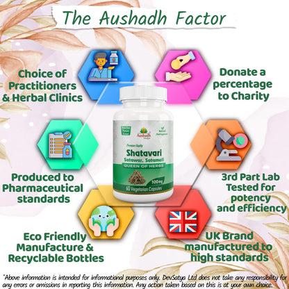 Aushadh Shatavari Capsules (Wild Asparagus) Women’s Wellness Support - Vegan, Gluten Free, Non-GMO, 60 Capsules