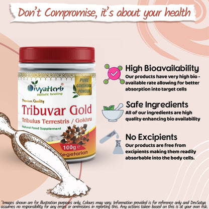 DivyaHerb Gokshura / Tribuvar Powder 100 gram - Natural Herbal Wellness