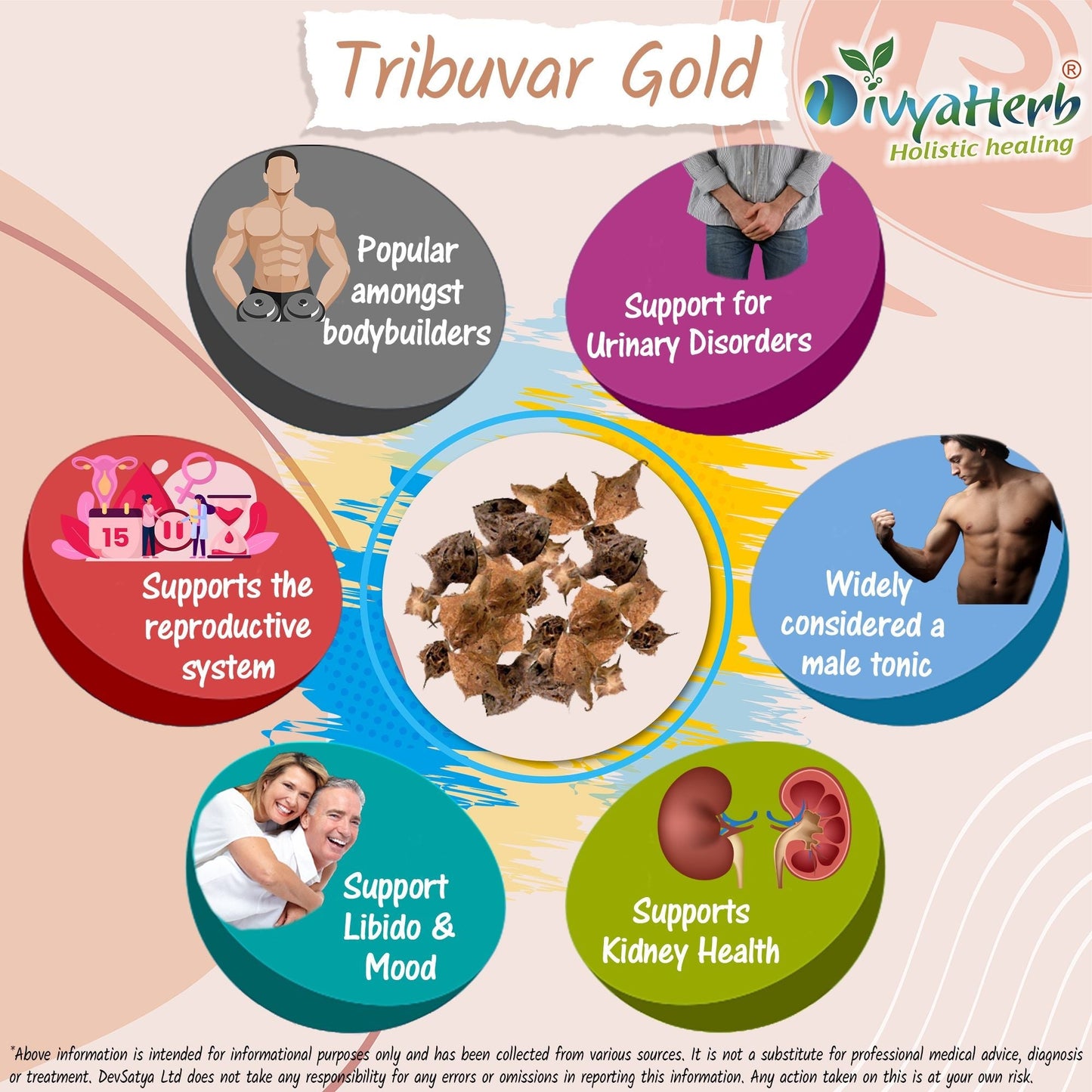 DivyaHerb Gokshura / Tribuvar Powder 100 gram - Natural Herbal Wellness