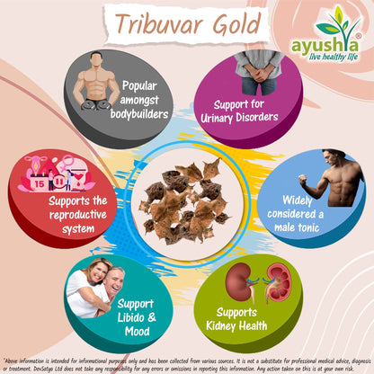 Ayushya Tribuvar Gold (Tribulus Terrestris) Capsules (Gokshura, Gokhru) Vitality & Urinary Wellness Support - Vegan, Gluten Free, Non-GMO, 60 Capsules