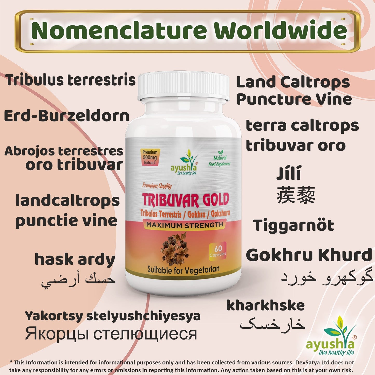 Ayushya Tribuvar Gold (Tribulus Terrestris) Capsules (Gokshura, Gokhru) Vitality & Urinary Wellness Support - Vegan, Gluten Free, Non-GMO, 60 Capsules