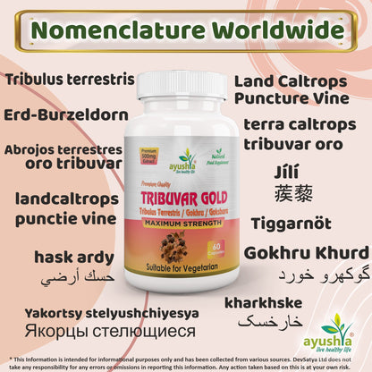 Ayushya Tribuvar Gold (Tribulus Terrestris) Capsules (Gokshura, Gokhru) Vitality & Urinary Wellness Support - Vegan, Gluten Free, Non-GMO, 60 Capsules