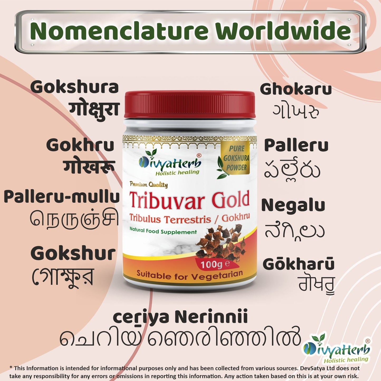 DivyaHerb Gokshura / Tribuvar Powder 100 gram - Natural Herbal Wellness