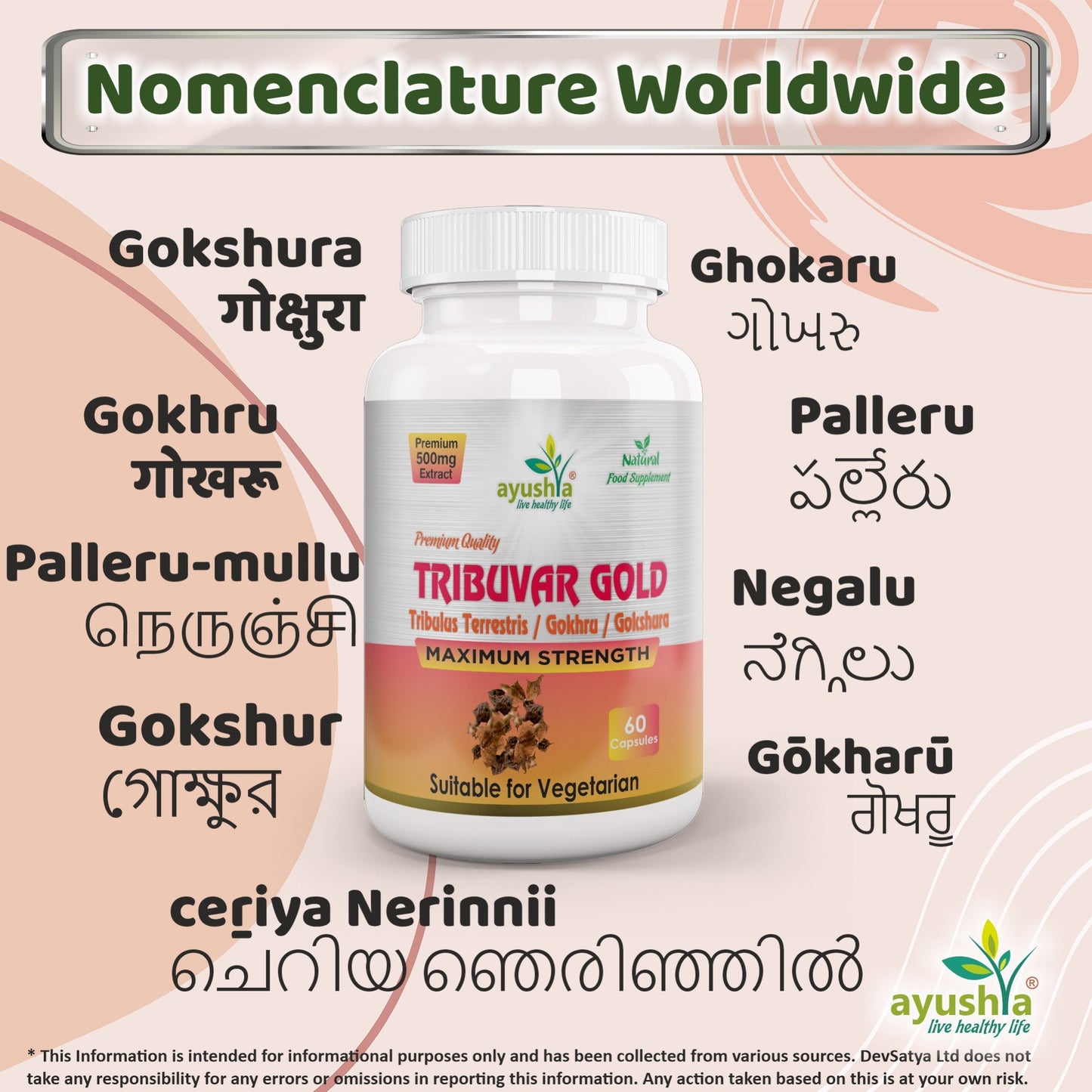 Ayushya Tribuvar Gold (Tribulus Terrestris) Capsules (Gokshura, Gokhru) Vitality & Urinary Wellness Support - Vegan, Gluten Free, Non-GMO, 60 Capsules