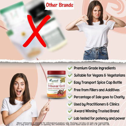 DivyaHerb Gokshura / Tribuvar Powder 100 gram - Natural Herbal Wellness
