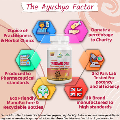 Ayushya Tribuvar Gold (Tribulus Terrestris) Capsules (Gokshura, Gokhru) Vitality & Urinary Wellness Support - Vegan, Gluten Free, Non-GMO, 60 Capsules
