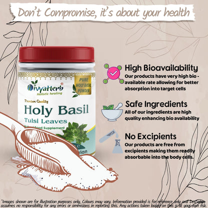 DivyaHerb Holy Basil Powder 100 gram - Seasonal Wellness Support