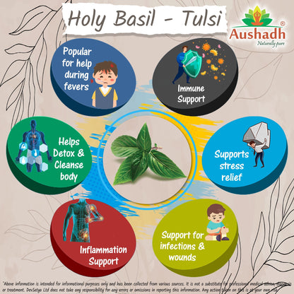 Aushadh Holy Basil Capsules (Tulsi) Stress Balance & Immune Wellness Support - Vegan, Gluten Free, Non-GMO, 60 Capsules