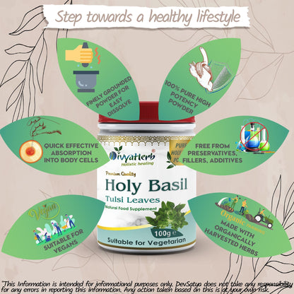 DivyaHerb Holy Basil Powder 100 gram - Seasonal Wellness Support