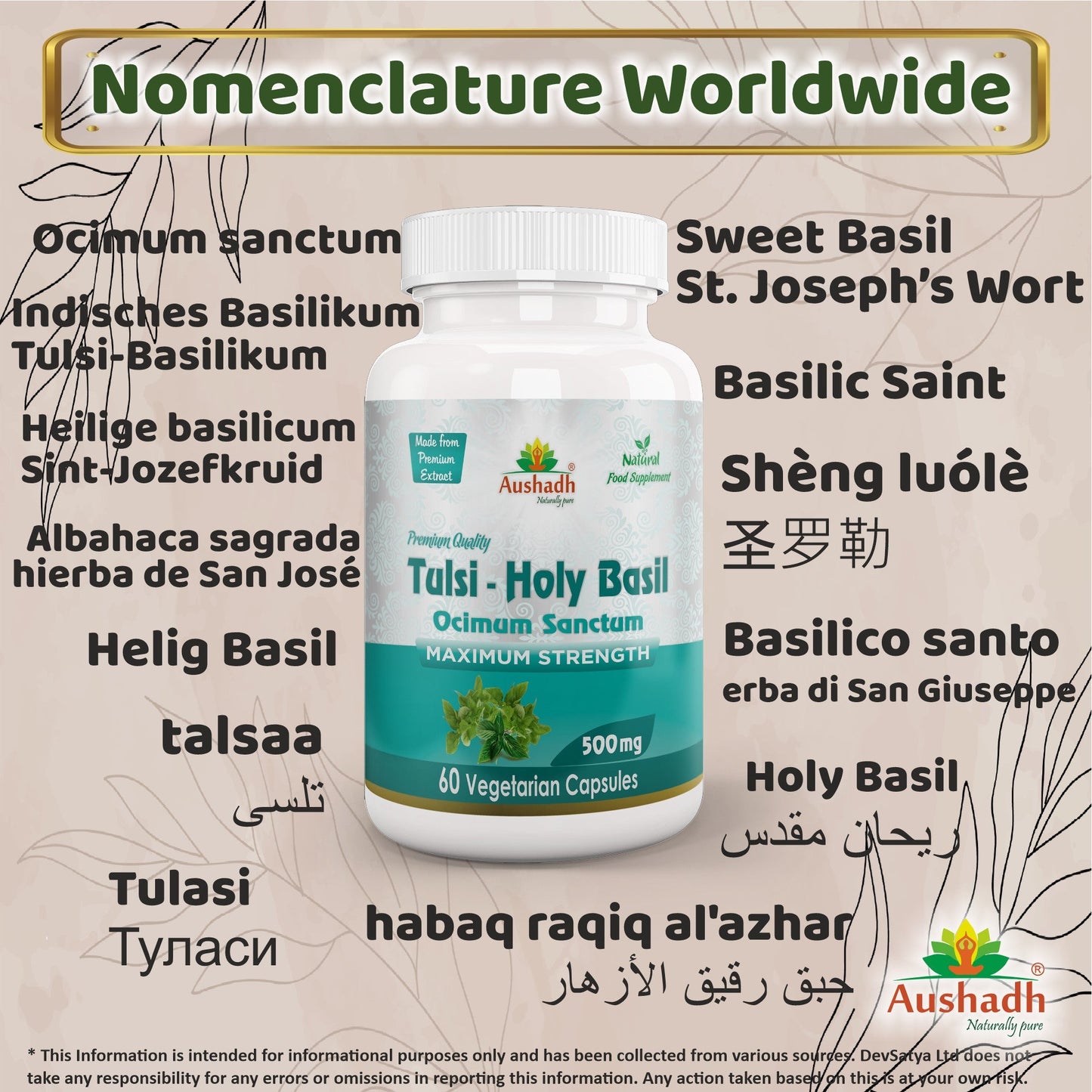Aushadh Holy Basil Capsules (Tulsi) Stress Balance & Immune Wellness Support - Vegan, Gluten Free, Non-GMO, 60 Capsules