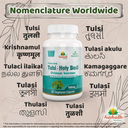 Aushadh Holy Basil Capsules (Tulsi) Stress Balance & Immune Wellness Support - Vegan, Gluten Free, Non-GMO, 60 Capsules