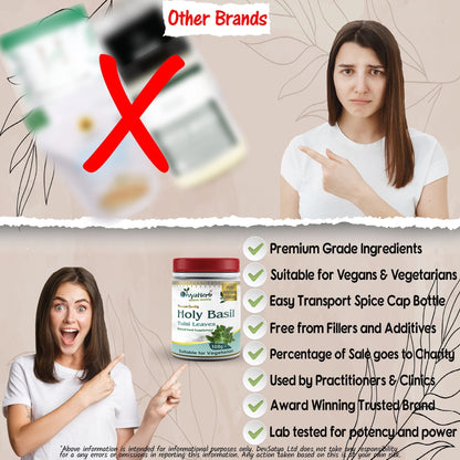 DivyaHerb Holy Basil Powder 100 gram - Seasonal Wellness Support