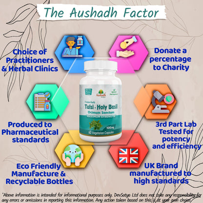 Aushadh Holy Basil Capsules (Tulsi) Stress Balance & Immune Wellness Support - Vegan, Gluten Free, Non-GMO, 60 Capsules