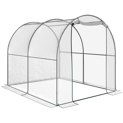 Walk in Transparent Greenhouse, Steel Frame