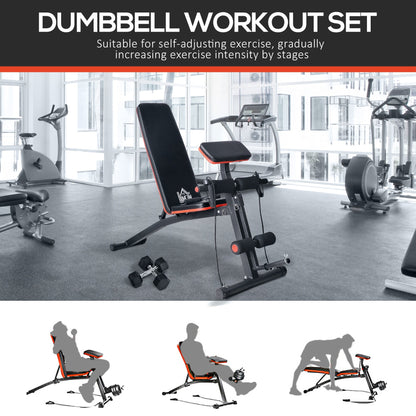 HOMCOM Adjustable Reclined Dumbbell Bench Weight Lifting Set Folding Sit Up Ab Bench Home Training Gym Multiuse Workout Exercise Fitness with 2 x 4kg Dumbbells