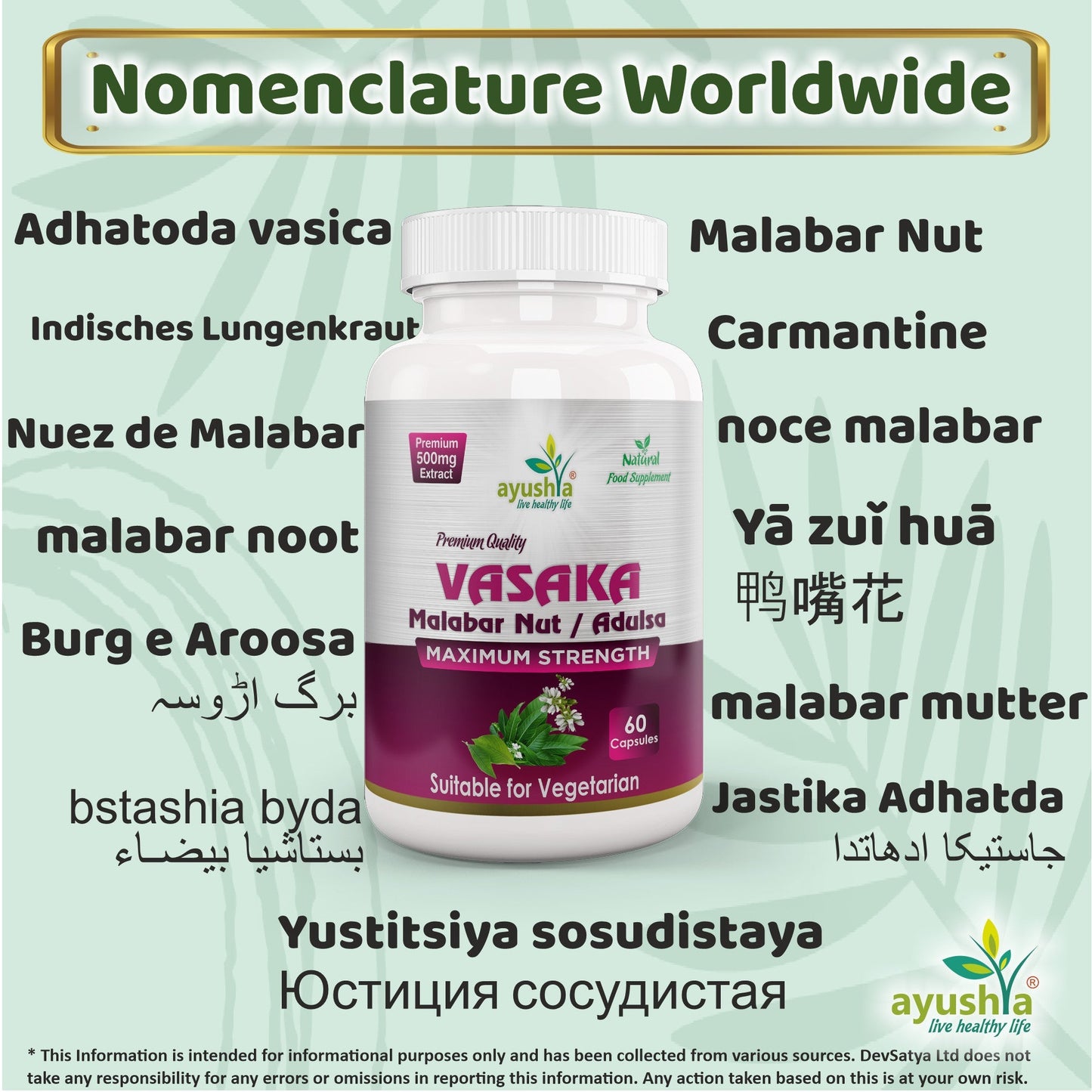 Ayushya Vasaka Capsules (Malabar Nut, Adulsa) Respiratory Comfort Support - Vegan, Gluten Free, Non-GMO, 60 Capsules