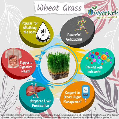 DivyaHerb Wheat Grass Powder 100 gram - Daily Vitality Support