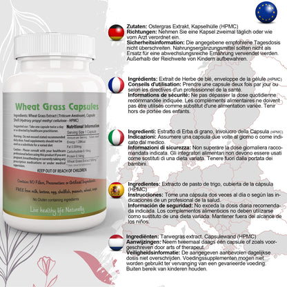 Ayushya Wheat Grass Capsules (Wheatgrass) Daily Greens & Antioxidant Support - Vegan, Gluten Free, Non-GMO, 60 Capsules